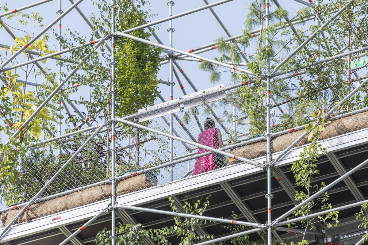 Pepiniera. 1306 plante pentru Timișoara